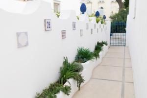 La Pigna Blu