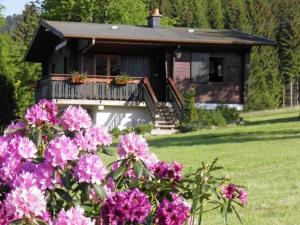 Maisons de vacances Chalet renove proche du Valtin – Ideal pour famille, randonnees et ski, Wifi, luges fournies - FR-1-589-150 : photos des chambres