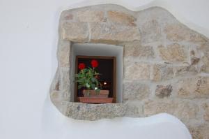 Olbia Domus Inn img63