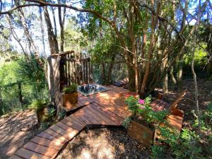 Cabaña con tinaja en bosque Valdiviano
