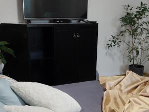 Link Kauno marių...