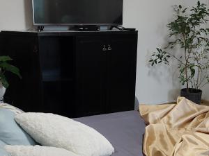 Link Kauno marių...