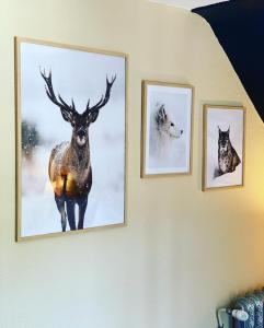 Hotels Hotel Genepi : Chambre Supérieure Lit Queen-Size