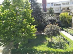 Casa vacanza, Le 5 Palme, a Trani