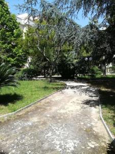 Casa vacanza, Le 5 Palme, a Trani