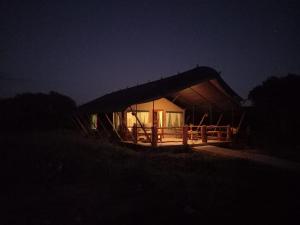 Mara Maisha Camp