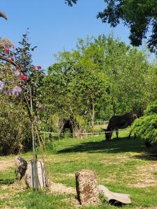 Maisons d'hotes Pey sud : photos des chambres