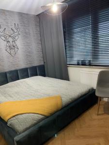 Apartament Knaga