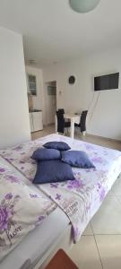 Apartman Scotti