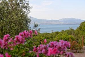 Skadar Lake House