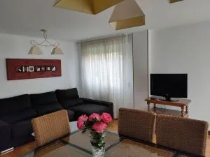 Casa amplia y luminosa cerca de Pamplona - Izarren Etxea - Undiano