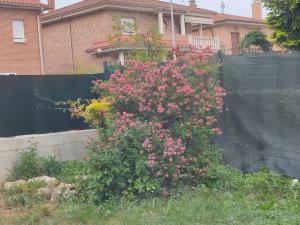 Casa amplia y luminosa cerca de Pamplona - Izarren Etxea