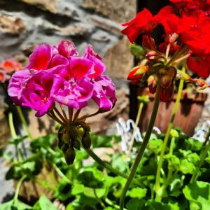 dalla fortezza al mare - la vostra casa a San Leo