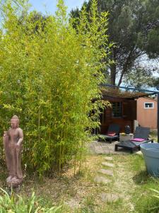 Chalets Chalet des oliviers 20mn des plages climatise : photos des chambres