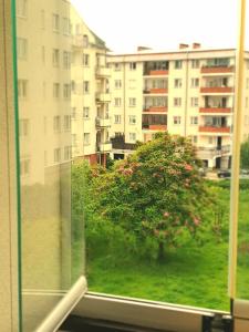 Apartament Przy Metrze i Przy Lesie