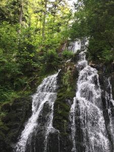 Appartements Le petit Beillard : photos des chambres