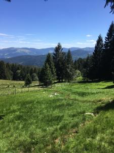 Appartements Le petit Beillard : photos des chambres