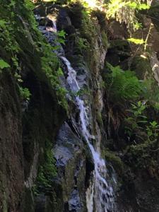 Appartements Le petit Beillard : photos des chambres