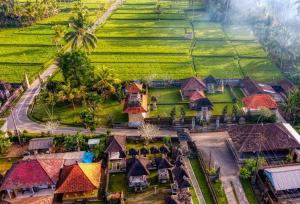 Rural Atmosphere at Bali Coconut House in Delodsema Village