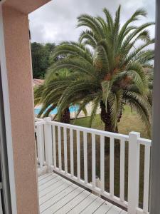 Appartements Petit oasis avec piscine : photos des chambres