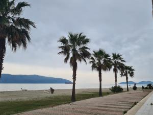 B4 Dusk Apartments R