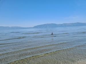 B4 Dusk Apartments R