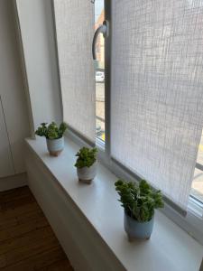 Appartements L'esprit Du Bonheur : photos des chambres