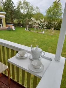 Cabin by the river Dubysa!