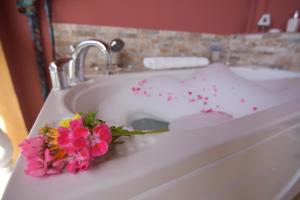 Baracunda Apartments