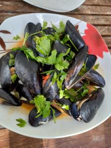 Holiday Home for Tourist