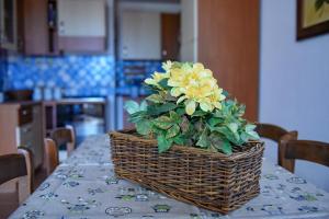Appartamento Mughetto con A/C img15