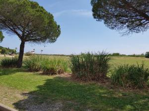 Campings Lac des reves - proche mer, piscine, commerces : photos des chambres