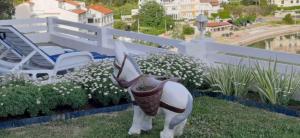 Apartment in Supetarska Draga 17854