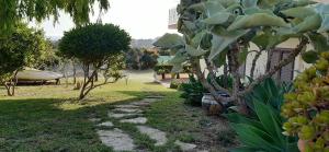 B&B La Casetta degli Aranci