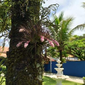 Linda Casa Para Família, Muito Próxima da Praia em Ubatuba!!!
