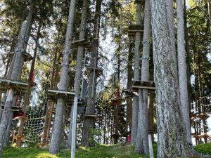 Hundefreundliche Bergwohnung neben der Skipiste - Mittelstation Skigebiet Gerlitzen