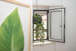 Travel & Live Marques