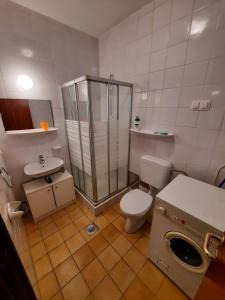 Small cosy apartment in Novi Vinodolski