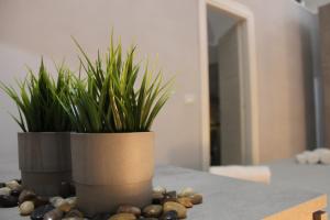 HOUSE RELAX Bella Napoli