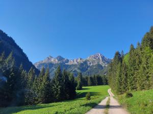 Ferienhaus Alpenglück