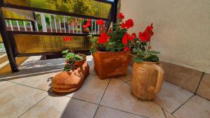 Holiday home in Siofok - Balaton 19924