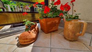 Holiday home in Siofok - Balaton 19924