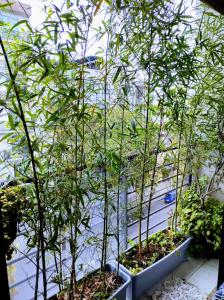 Departamento COMPARTIDO en el Corazón de la Ciudad