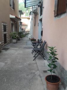 Padelica 