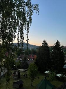 Tamis Harzglück