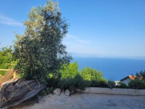 Ferienwohnung mit Pool Kroatien mit Meerblick und Pool