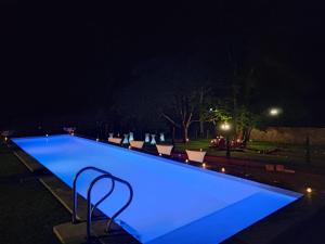 B&B / Chambres d'hotes Domaine Le Jardin Suspendu - Piscine chauffee - Proche du Puy duFou - : photos des chambres