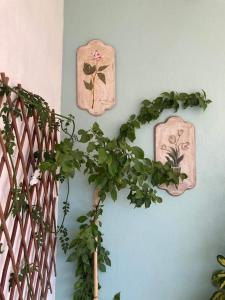 Ninas house in the center of Volos