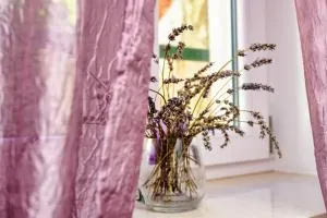 JMJ PH Nono - 皮兰