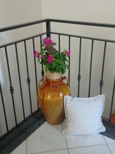 AMAA CASA